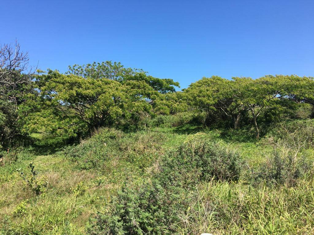 1083 m² Land available in Elaleni Coastal Forest Estate photo number 12