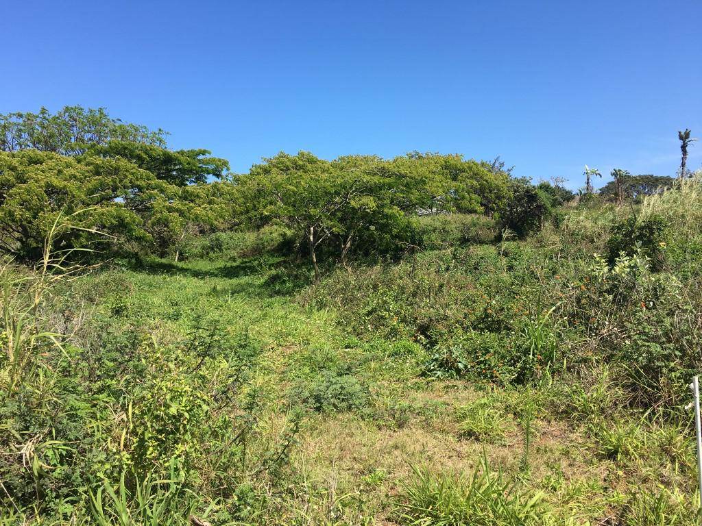 1083 m² Land available in Elaleni Coastal Forest Estate photo number 13