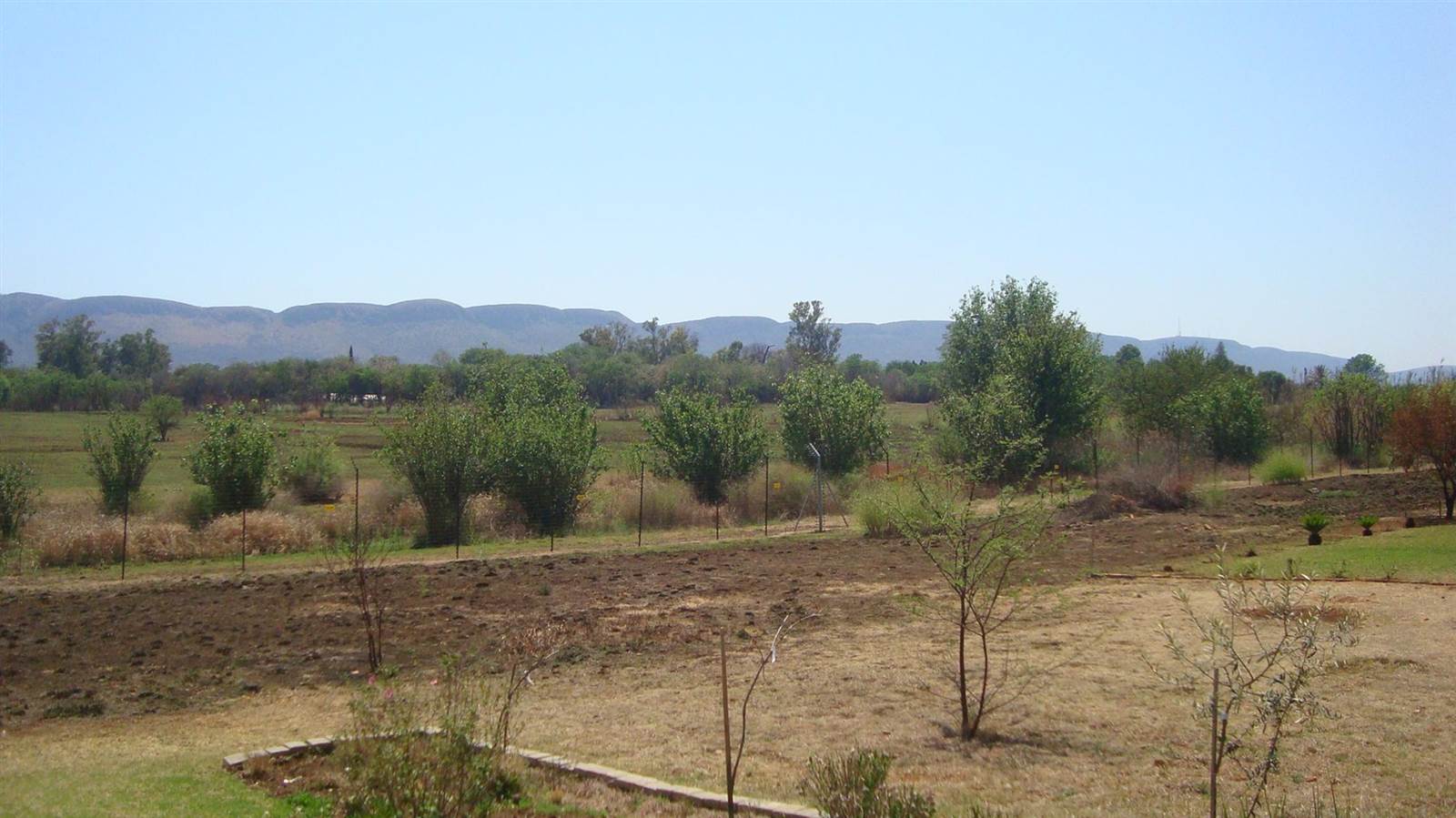 1276 m² Land available in La Camargue photo number 6