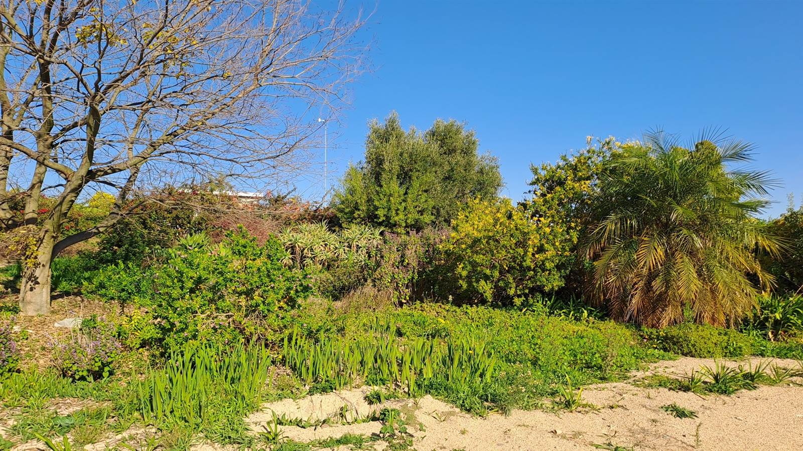 997 m² Land available in Wellington Central photo number 5