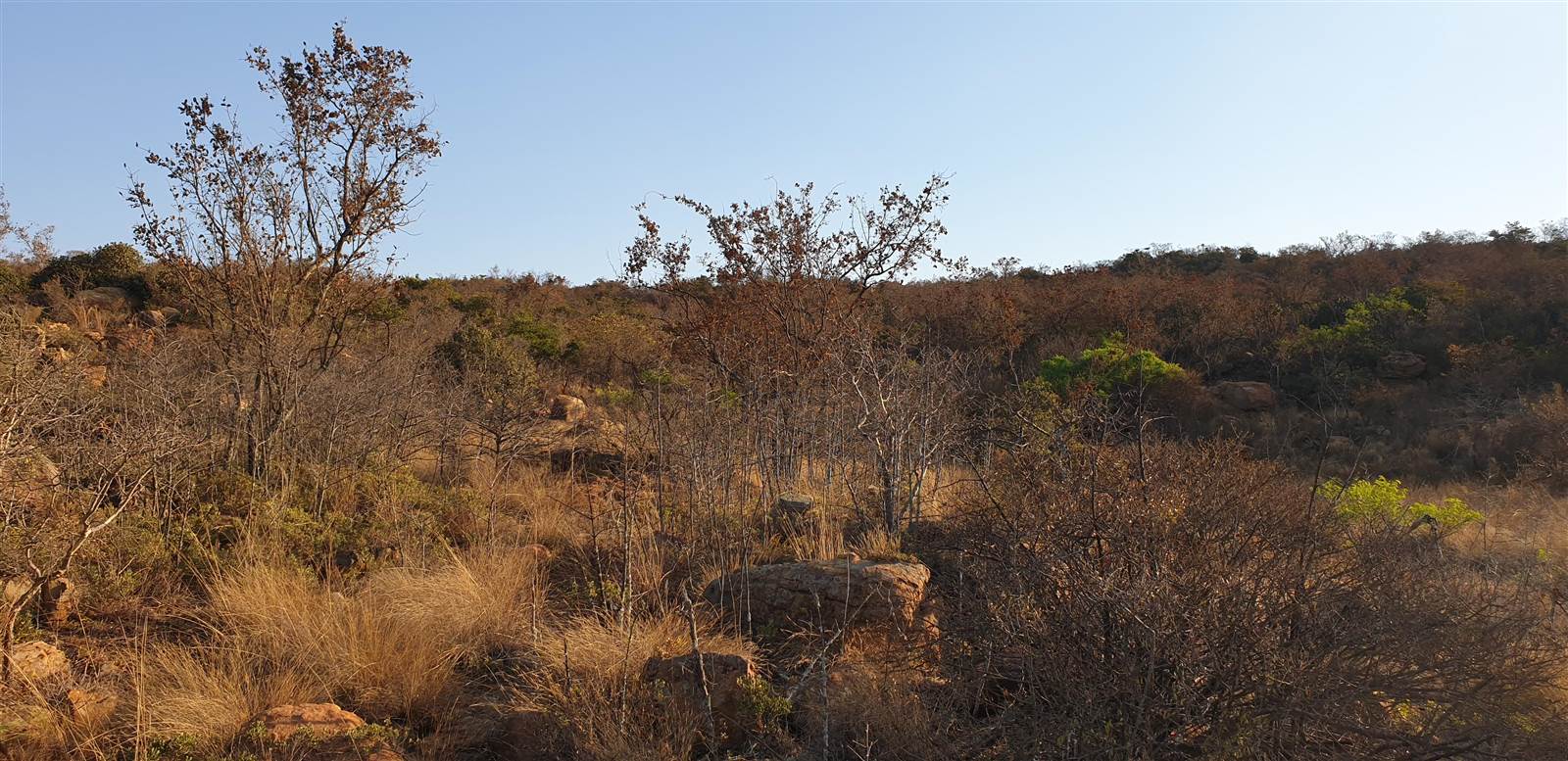 8 ha Land available in Zwavelpoort photo number 8