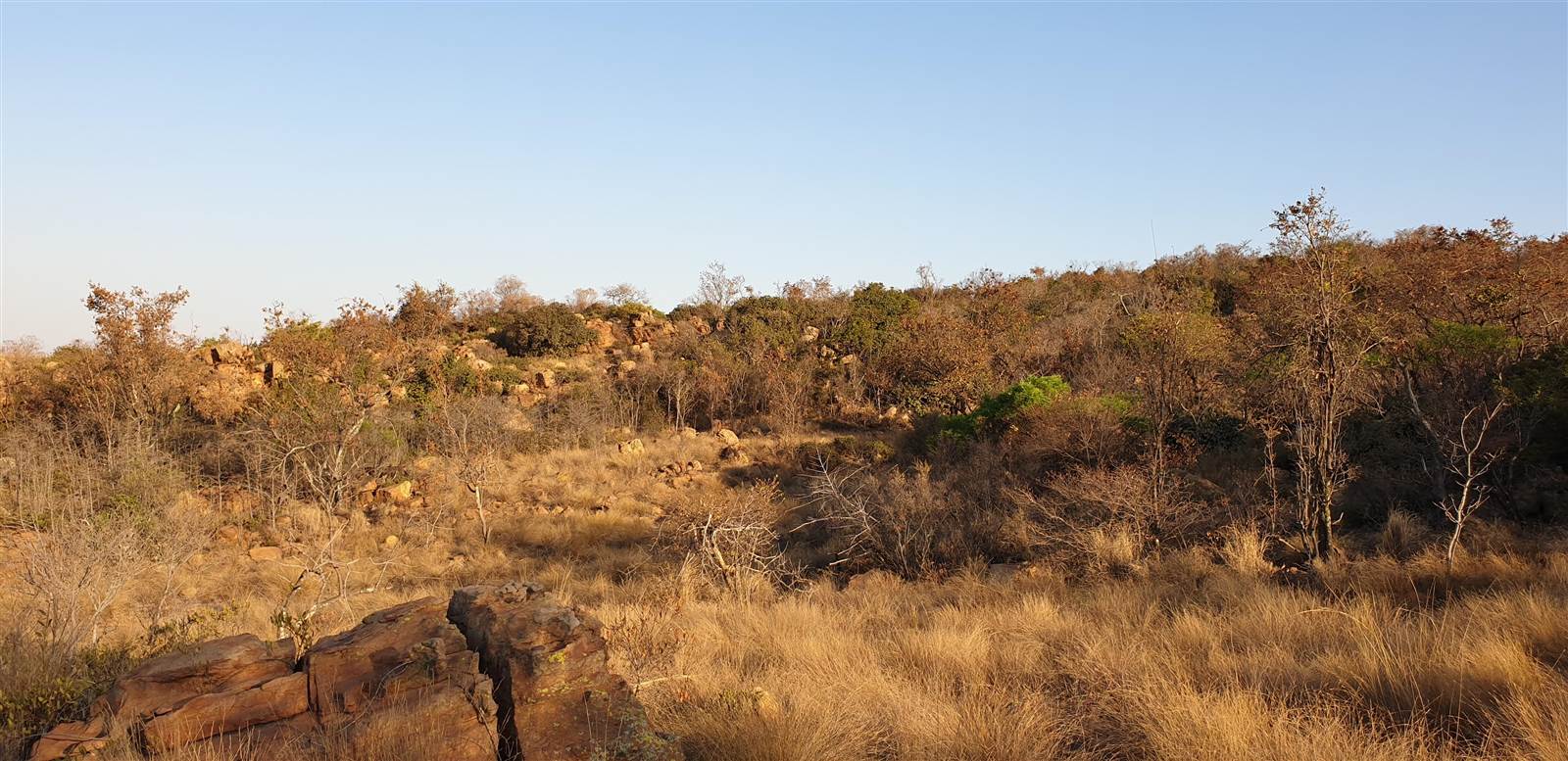 8 ha Land available in Zwavelpoort photo number 1