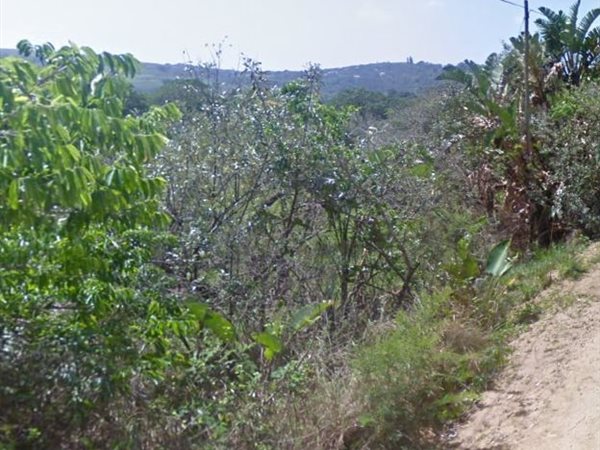 1455 m² Land available in Palm Beach