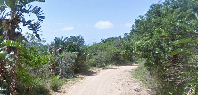 1455 m² Land available in Palm Beach photo number 4