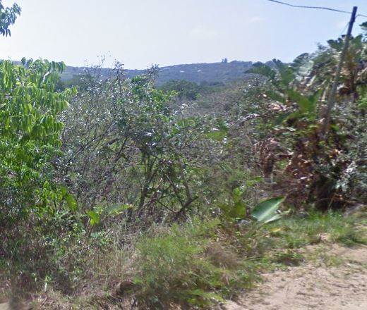 1455 m² Land available in Palm Beach photo number 8