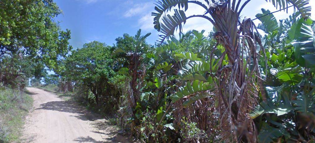 1455 m² Land available in Palm Beach photo number 6