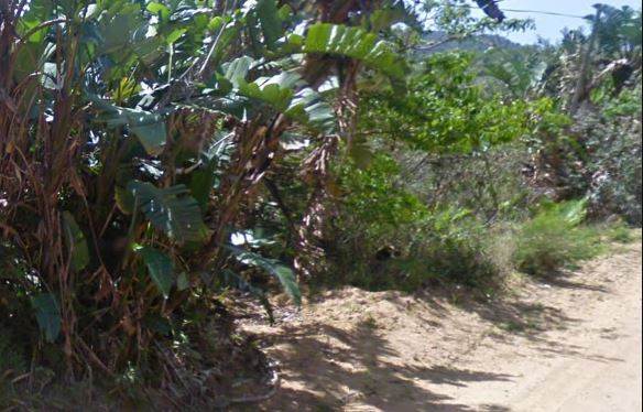 1455 m² Land available in Palm Beach photo number 3