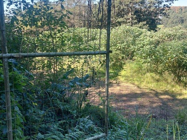 4 977 m² Land 4 977 m² Land