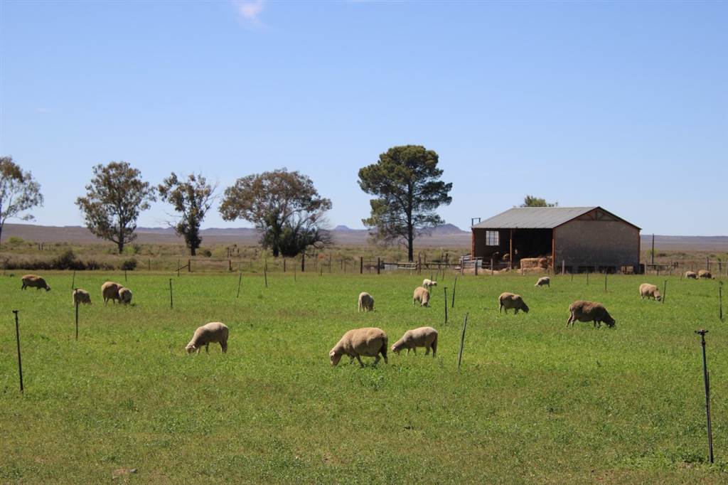 7688 ha Farm in Victoria West photo number 3