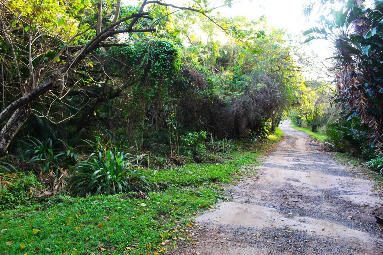 2830 m² Land available in Palm Beach photo number 3