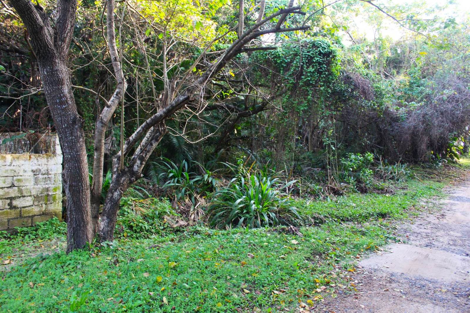 2830 m² Land available in Palm Beach photo number 2