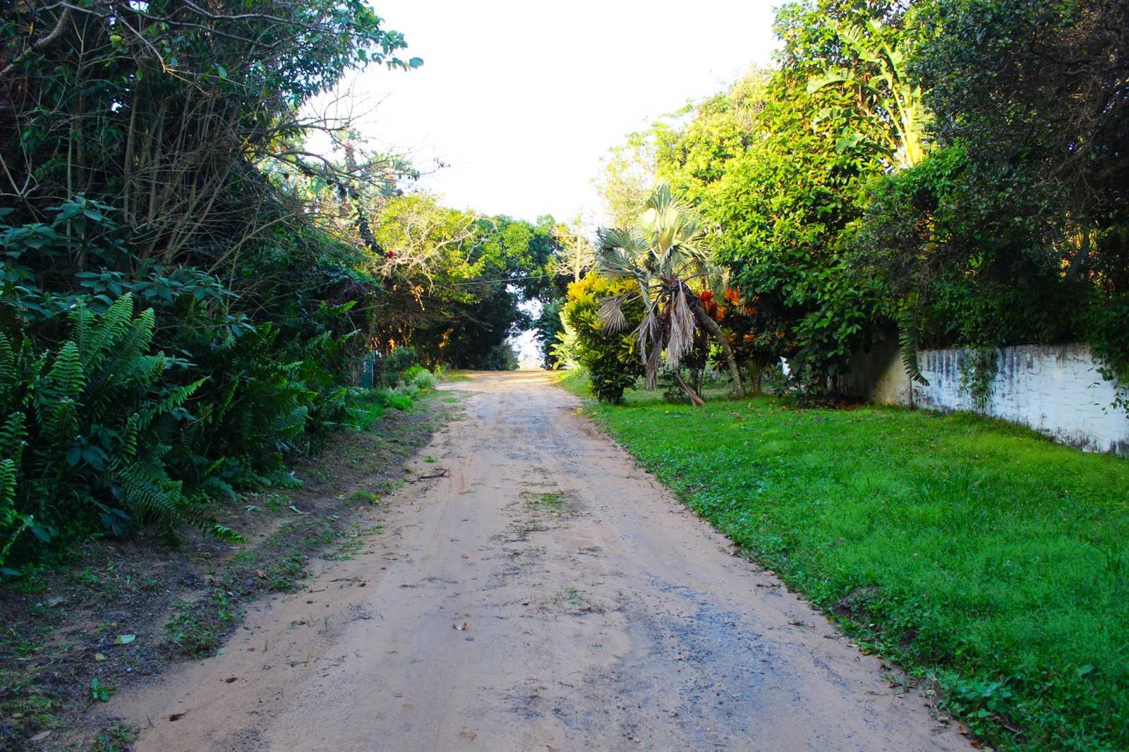2830 m² Land available in Palm Beach photo number 9