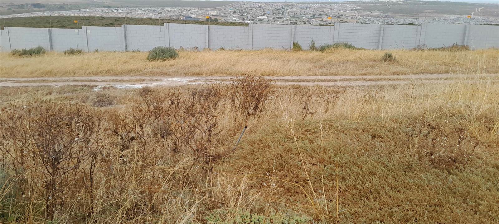 890 m² Land available in Saldanha photo number 2
