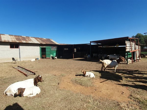 2.1 ha Smallholding 2.1 ha Smallholding