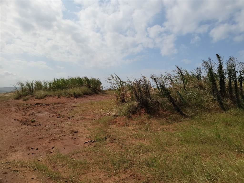 504 m² Land available in Sibaya Precinct photo number 5