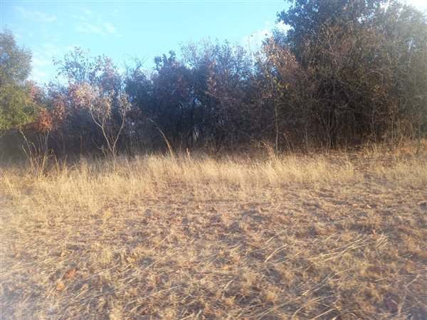 751 m² Land