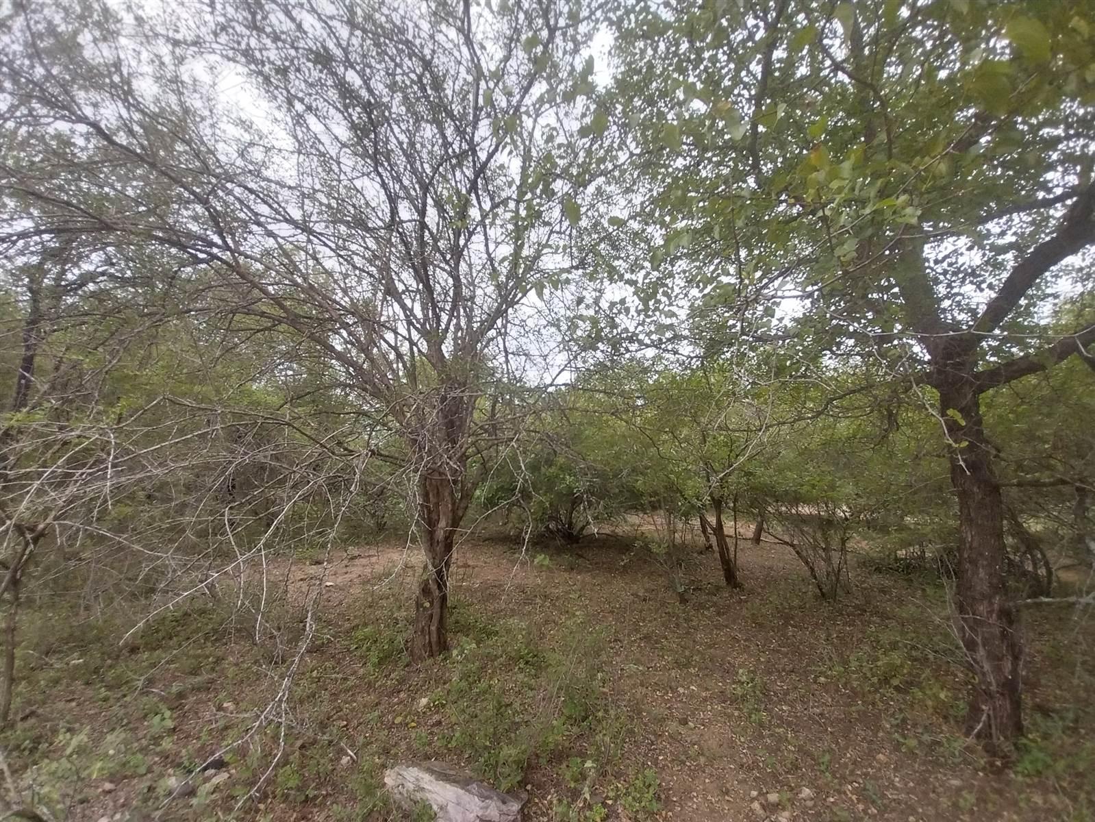 1998 m² Land available in Marloth Park photo number 1