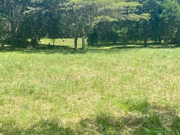 1145 m² Land available in Pennington
