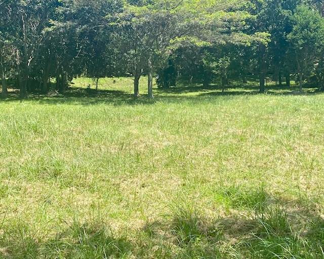 1145 m² Land available in Pennington photo number 1