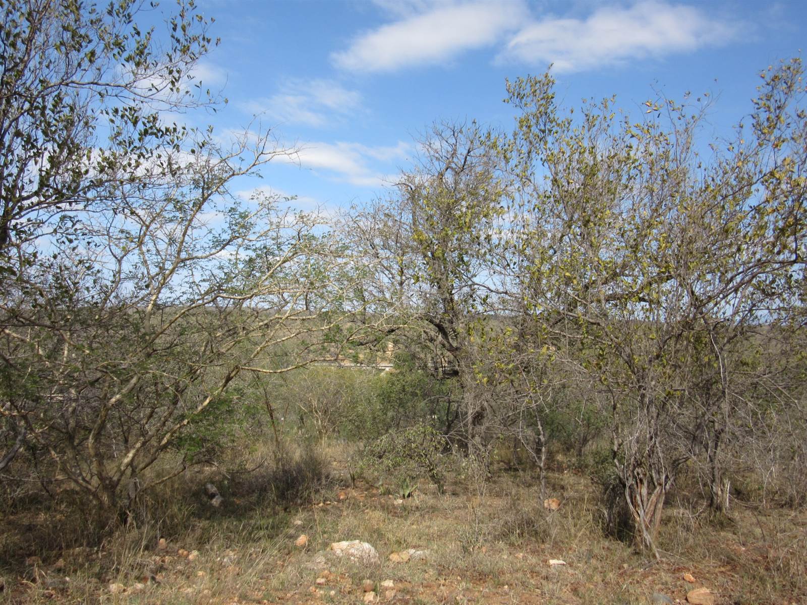 3107 m² Land available in Elephant Rock Eco Estate photo number 4