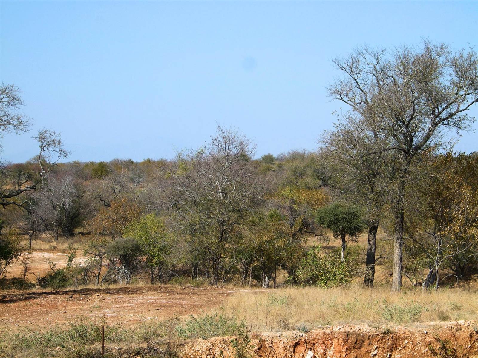 3107 m² Land available in Elephant Rock Eco Estate photo number 11