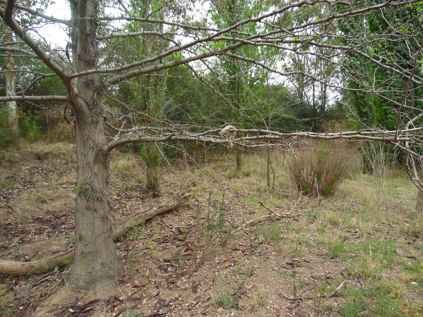 112 ha Land available in Meyerton photo number 10