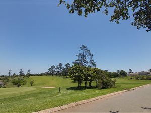 1160 m² Land available in Eshowe