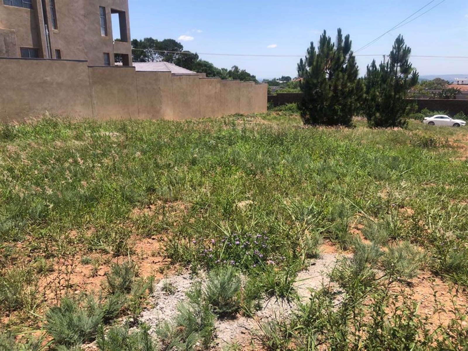 1624 m² Land available in Waterkloof Heights photo number 7