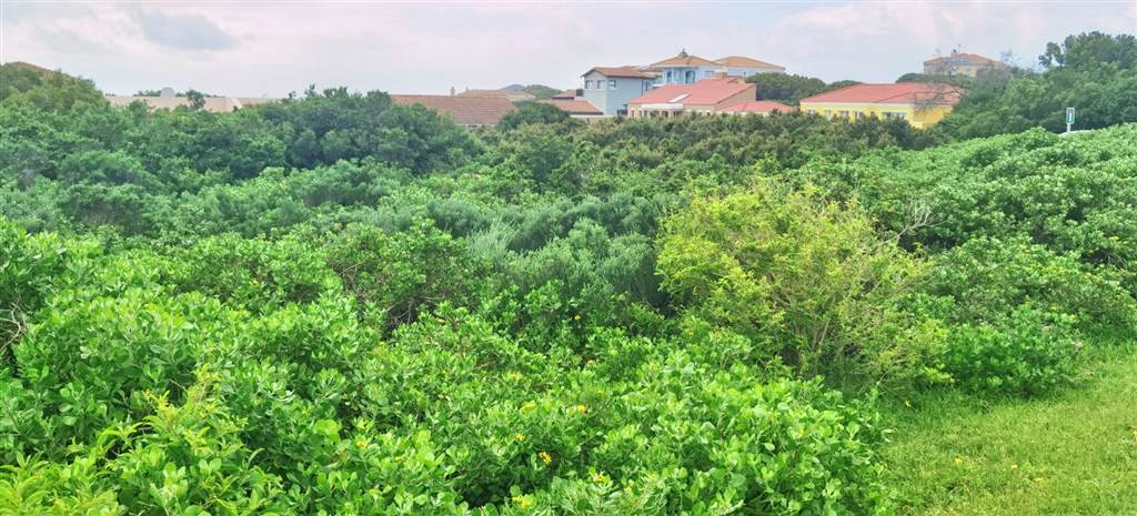 687 m² Land available in St Francis Bay photo number 5