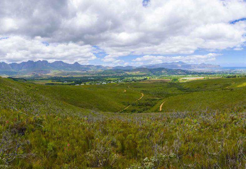 53 ha Land available in Somerset West Central photo number 22