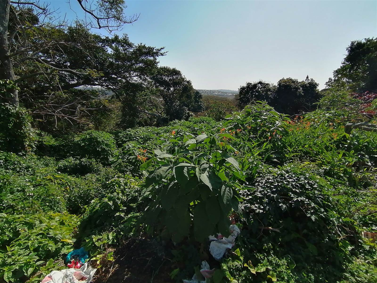 1273 m² Land available in Scottburgh Central photo number 19