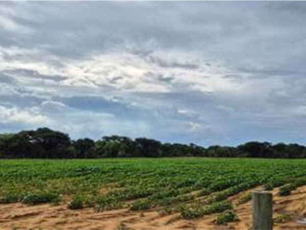 81.9 ha Farm 81.9 ha Farm