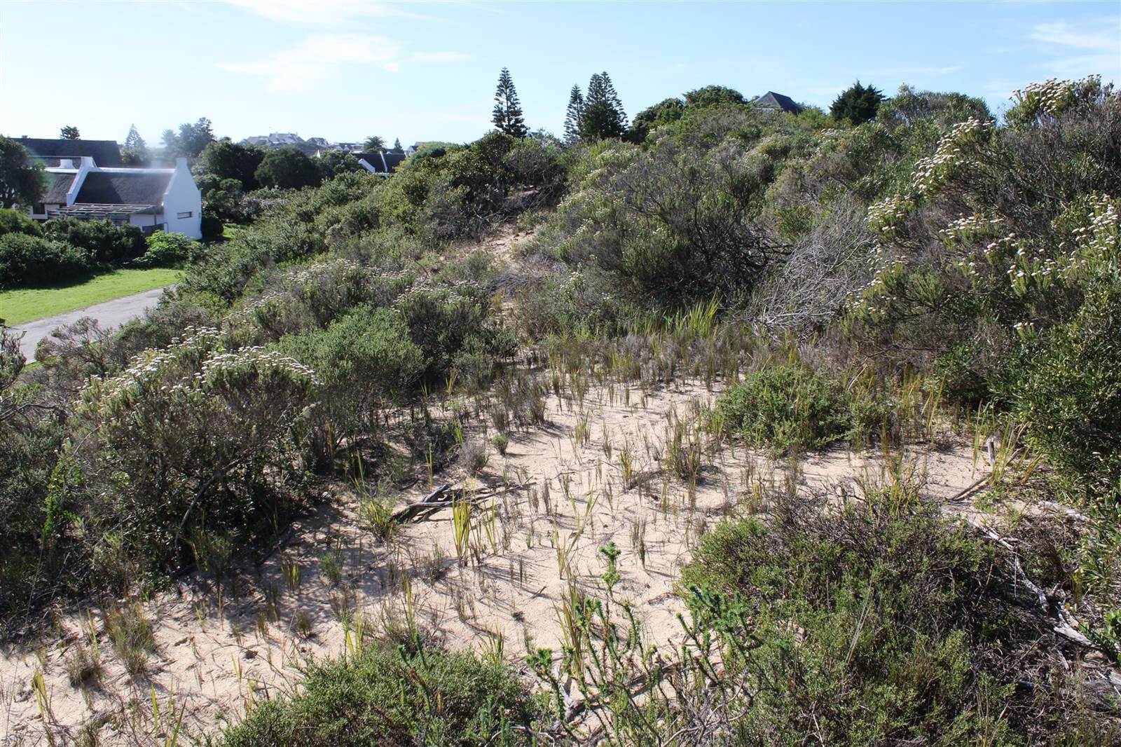 6397 m² Land available in St Francis Bay photo number 10