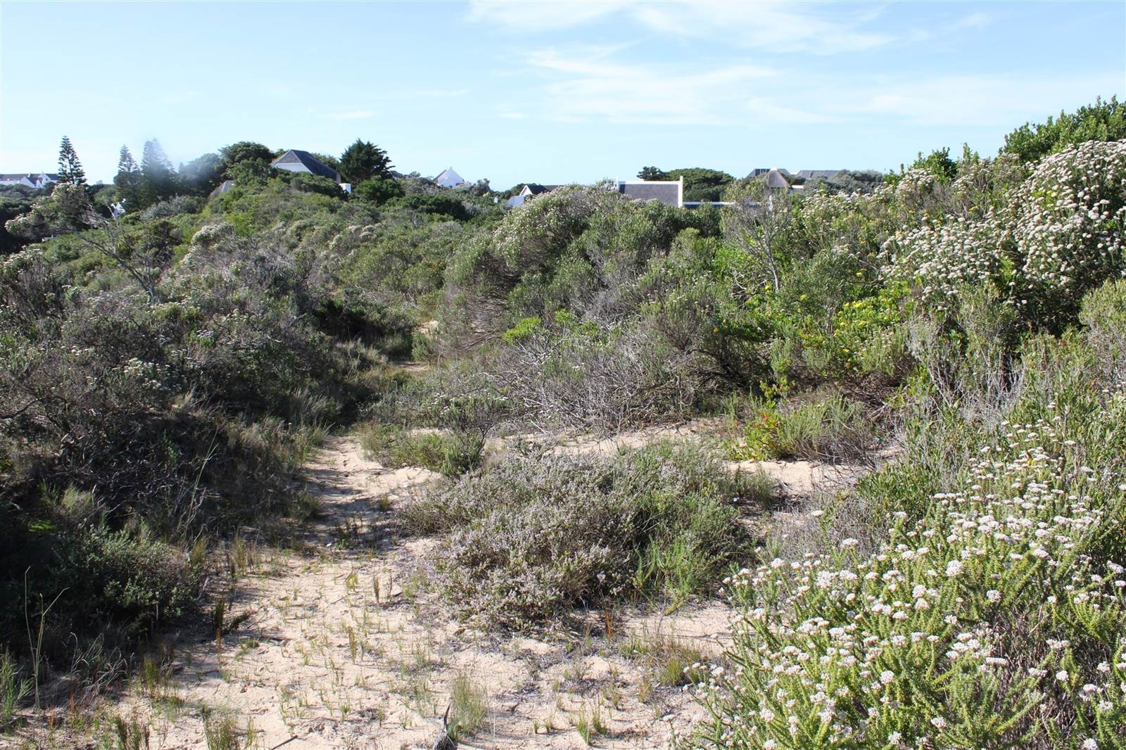 6397 m² Land available in St Francis Bay photo number 9