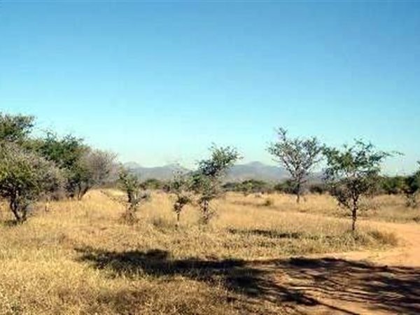 1.8 ha Land available in Thabazimbi