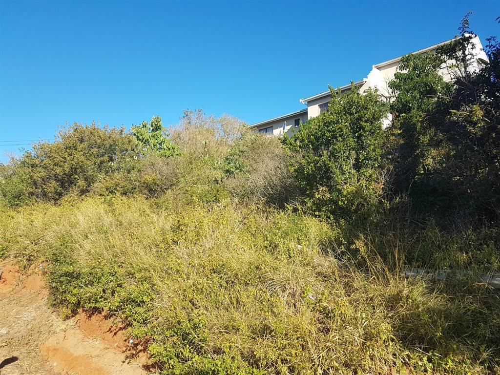 896 m² Land available in Port Alfred photo number 4