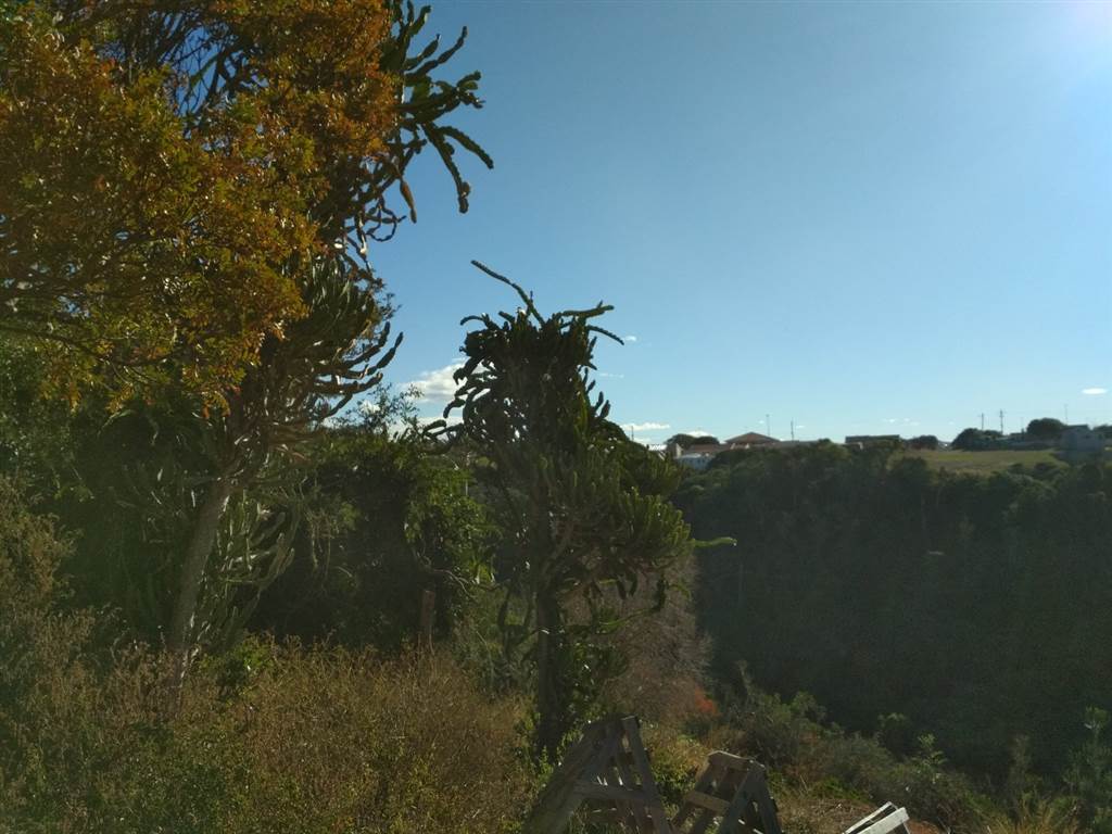 896 m² Land available in Port Alfred photo number 11