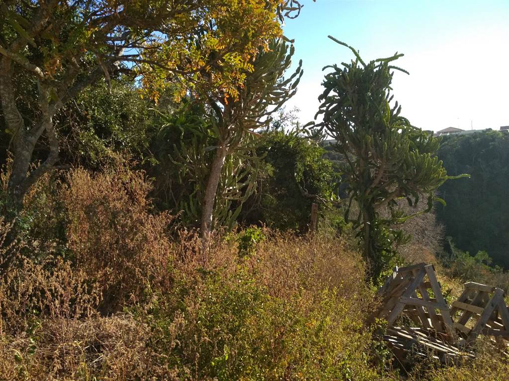 896 m² Land available in Port Alfred photo number 8