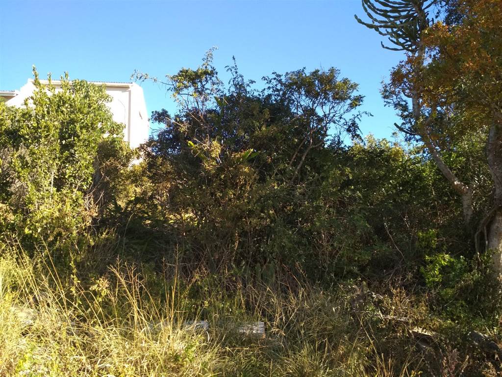 896 m² Land available in Port Alfred photo number 10