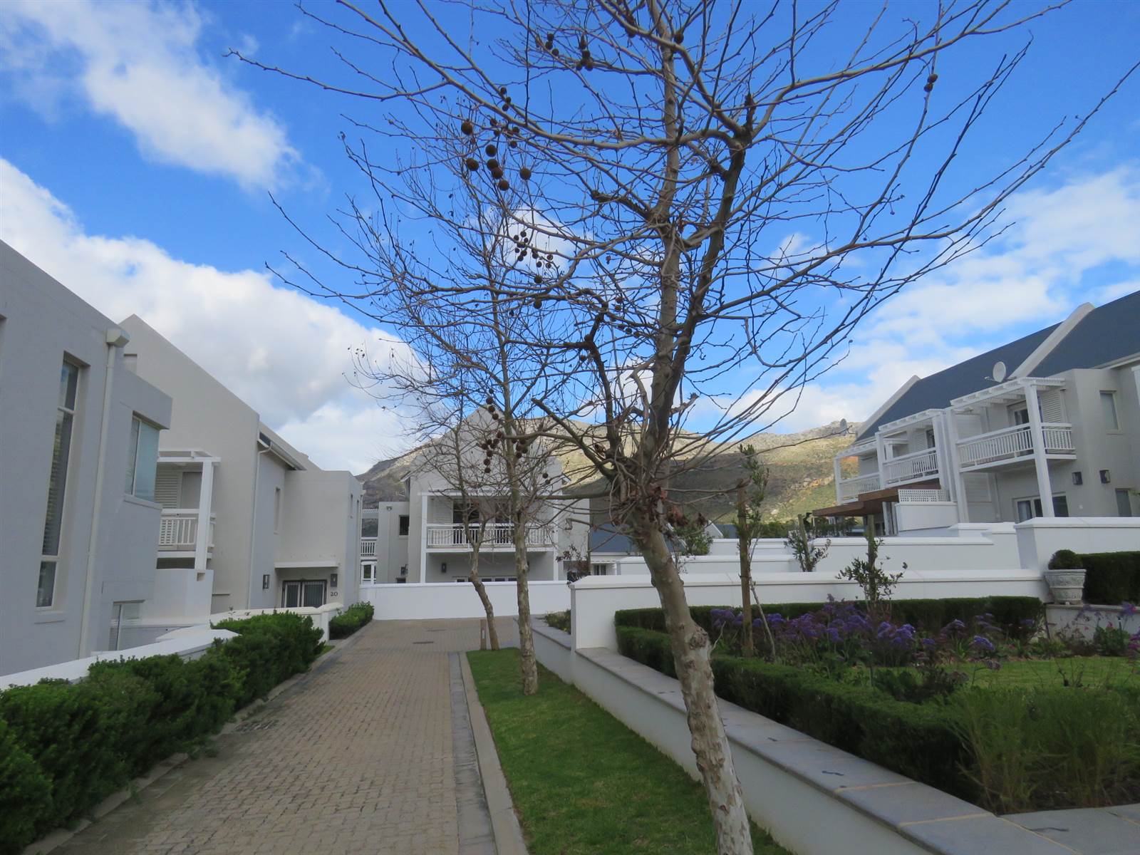 4 Bed House in Steenberg photo number 4