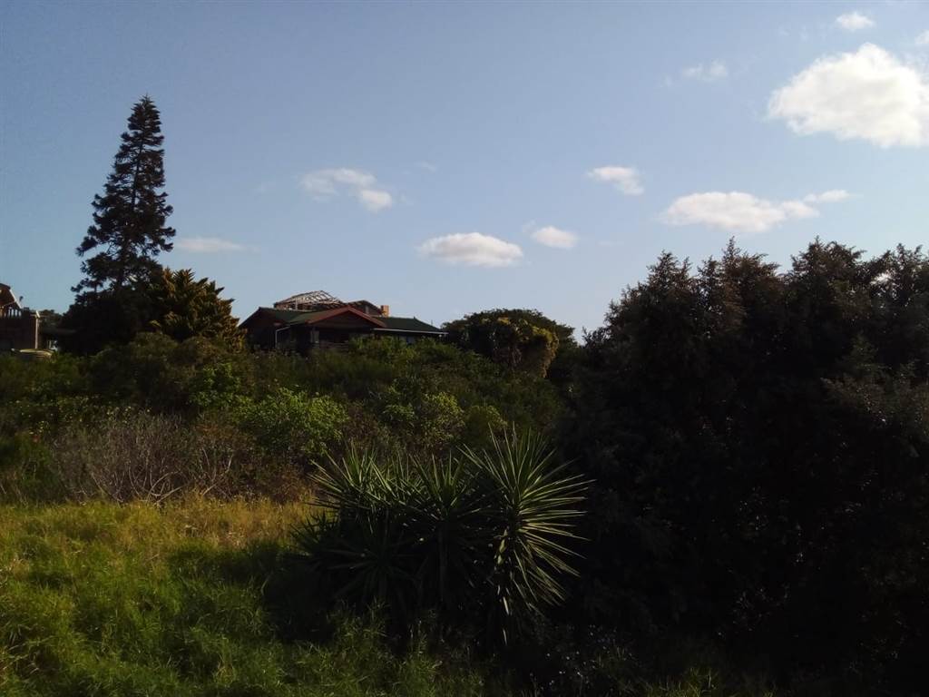 1112 m² Land available in West Bank photo number 11