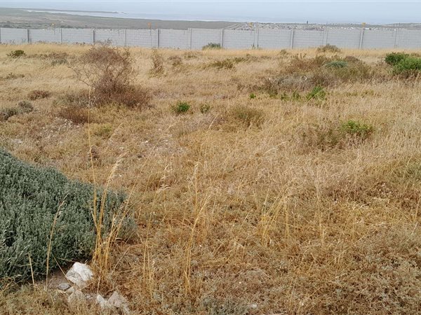 755 m² Land available in Saldanha
