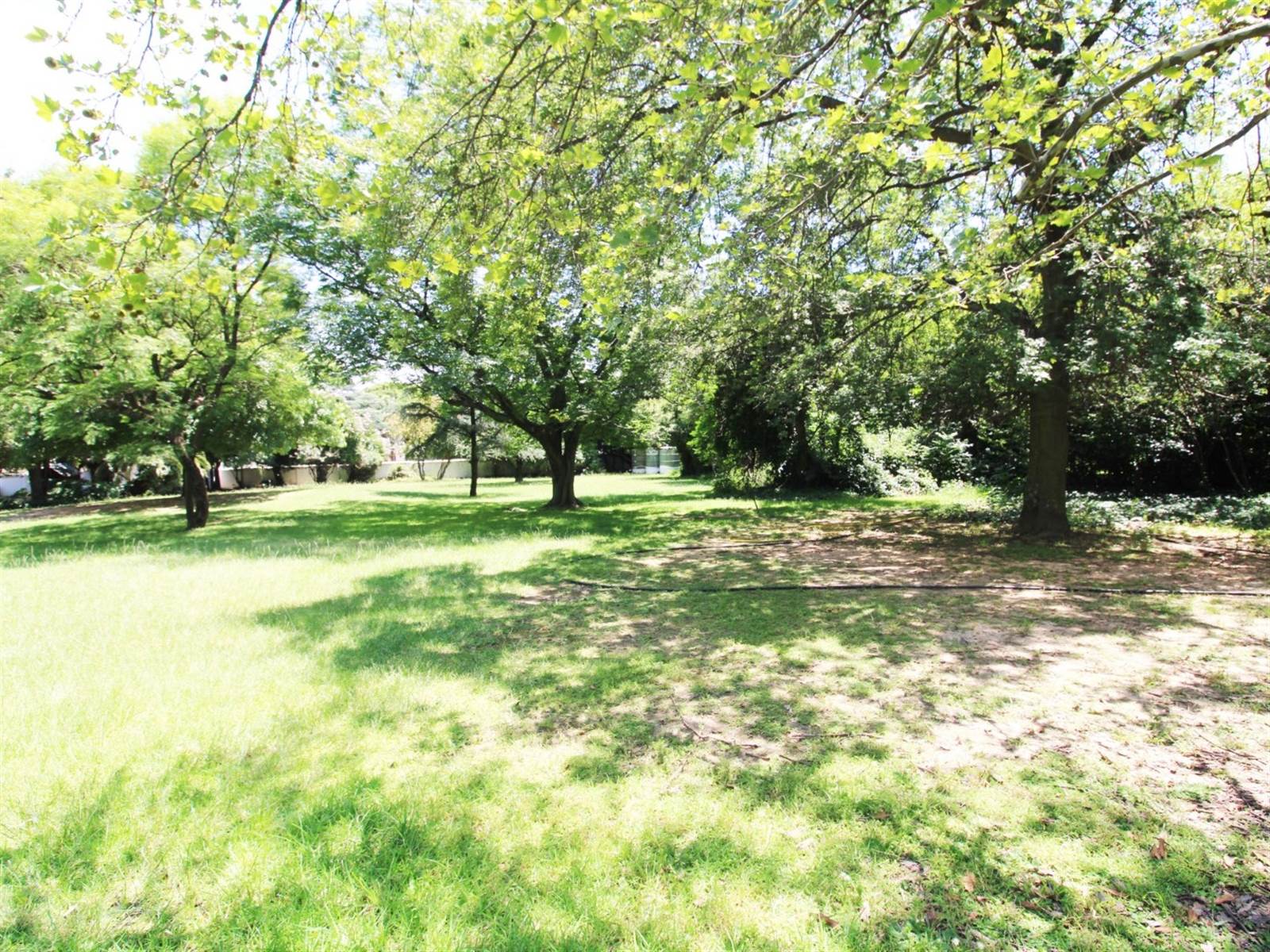 1.6 ha Land available in Bryanston photo number 11