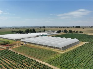23 m² Farm in Bapsfontein