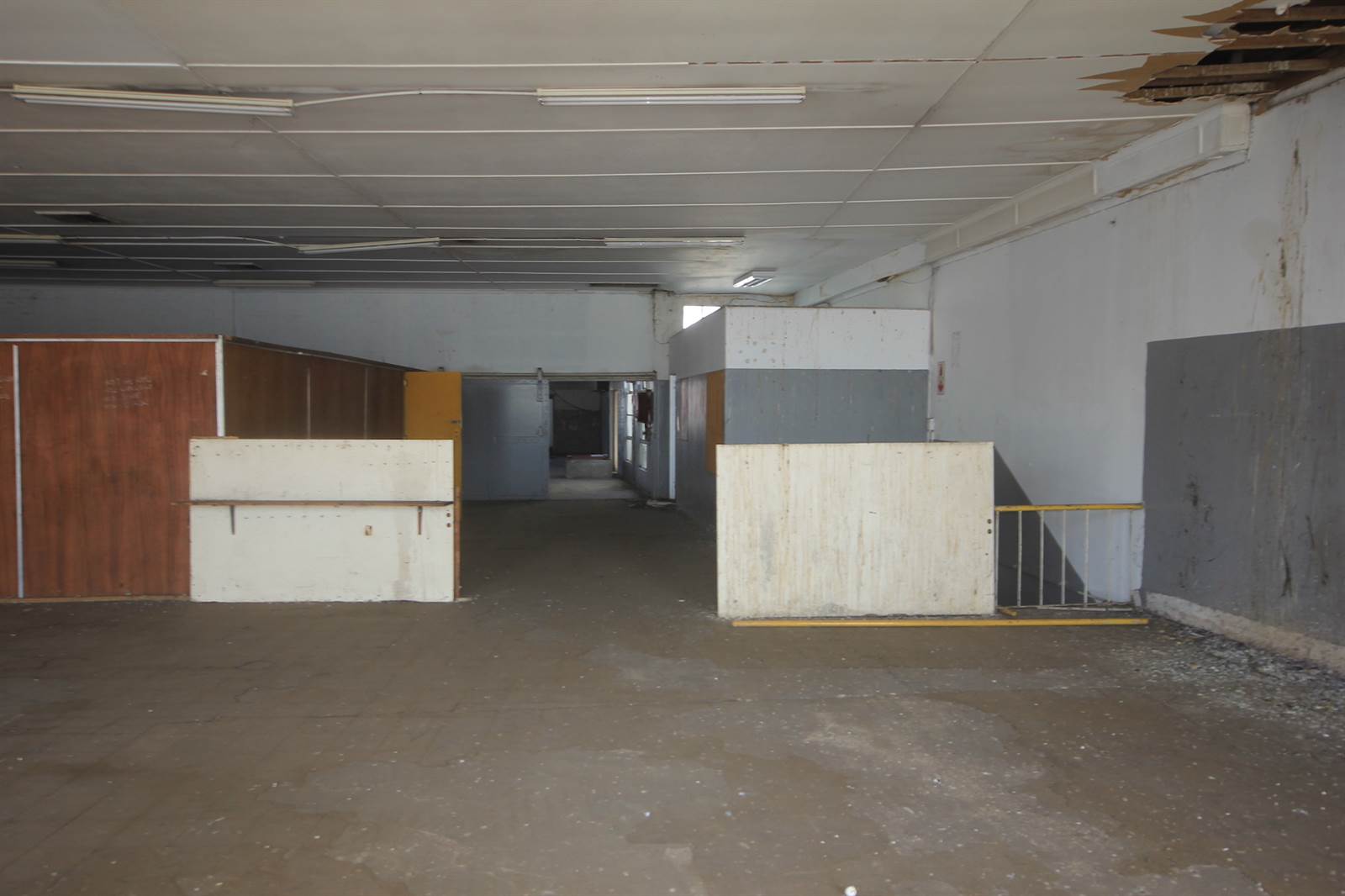 7733  m² Industrial space in Greyville photo number 12