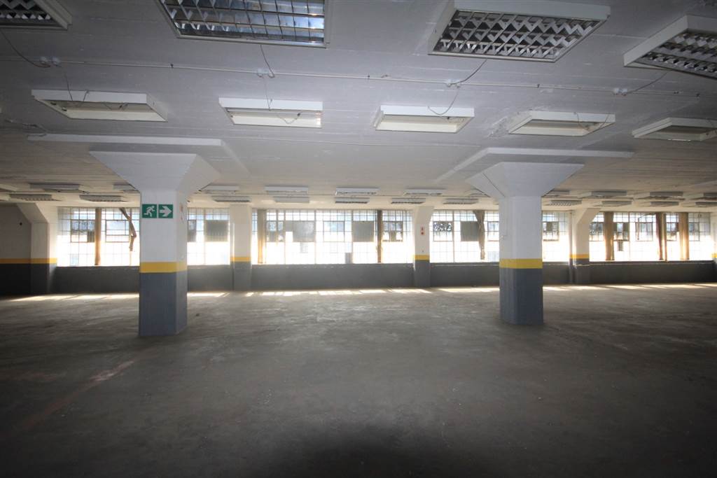 7733  m² Industrial space in Greyville photo number 3