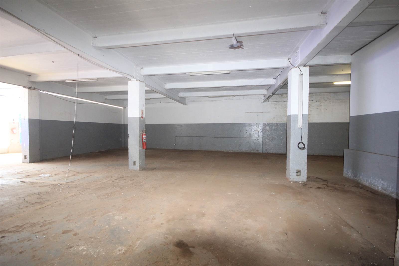 7733  m² Industrial space in Greyville photo number 9