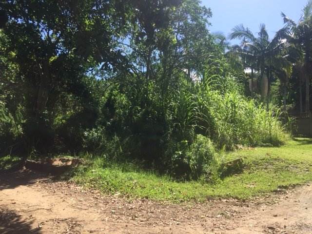 1425 m² Land available in Palm Beach photo number 1