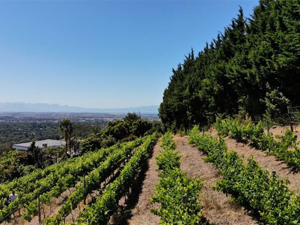4081 m² Land available in Constantia