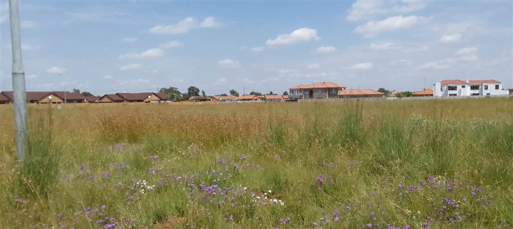 1000 m² Land available in Riversdale photo number 4